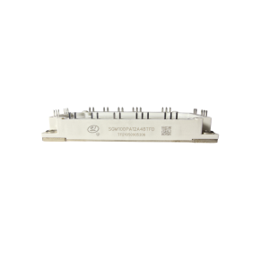 Modulo SGM100PA12A4BTFD