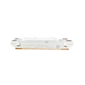 Módulo IGBT GD600HFX65C6H STARPOWER